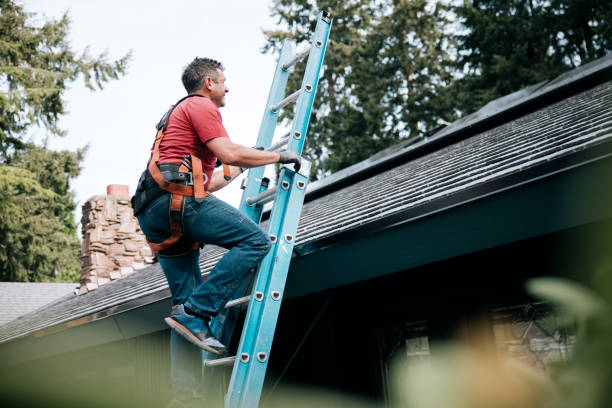 Best Metal Roofing Installation  in Rockville, MN